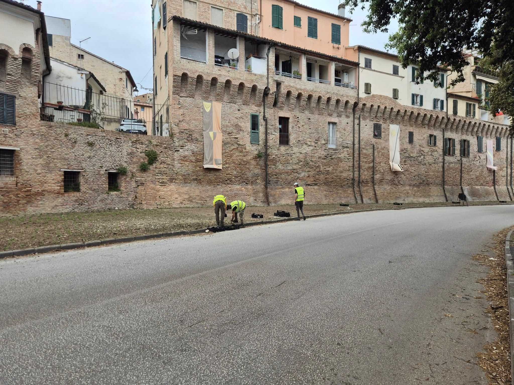 Piantumazioni cinta muraria