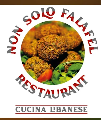 Non solo falafel