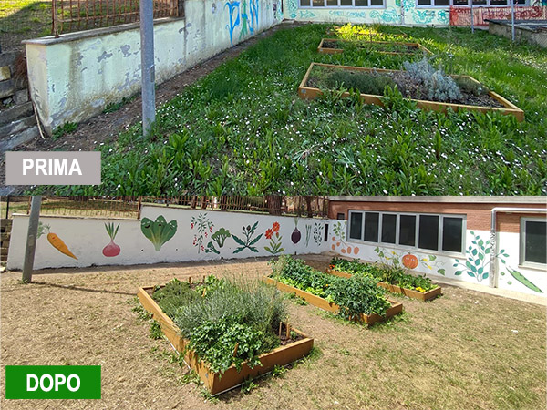 La trasformazione del giardino prima e dopo l'intervento