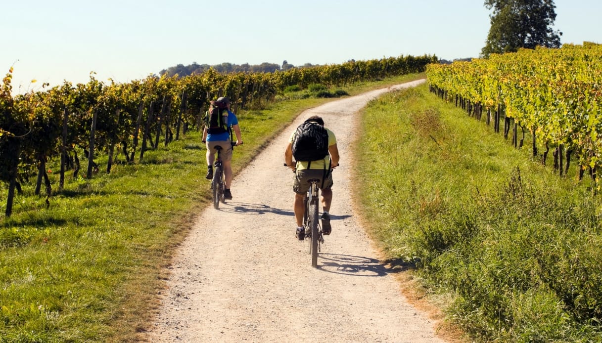 Ciclisti su un tratto di campagna