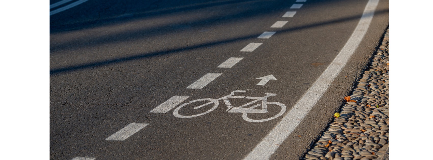 pista ciclabile un tratto di pista ciclabile su asfalto