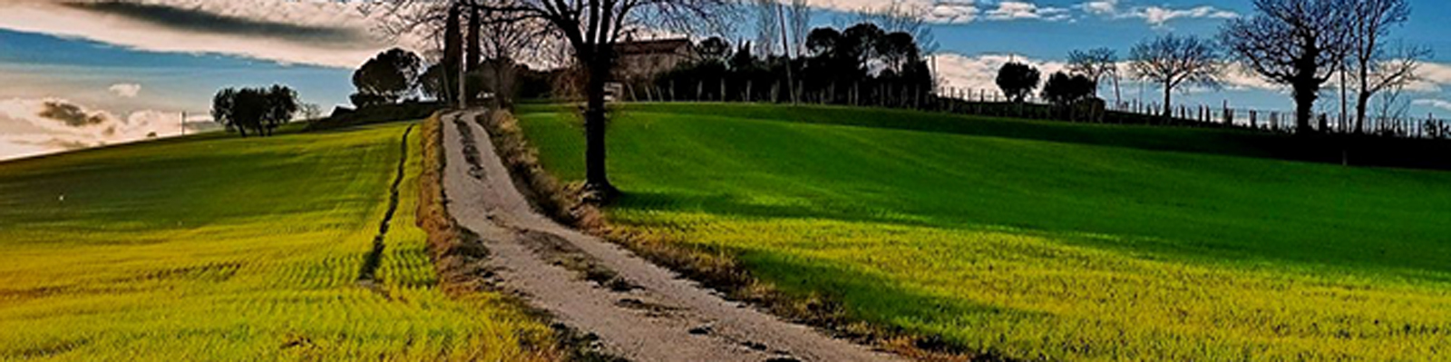 Un paesaggio collinare