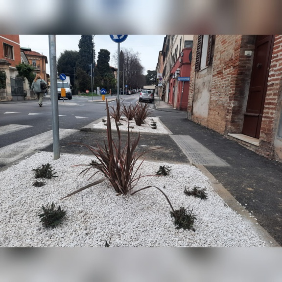 Aiuole in via Gramsci