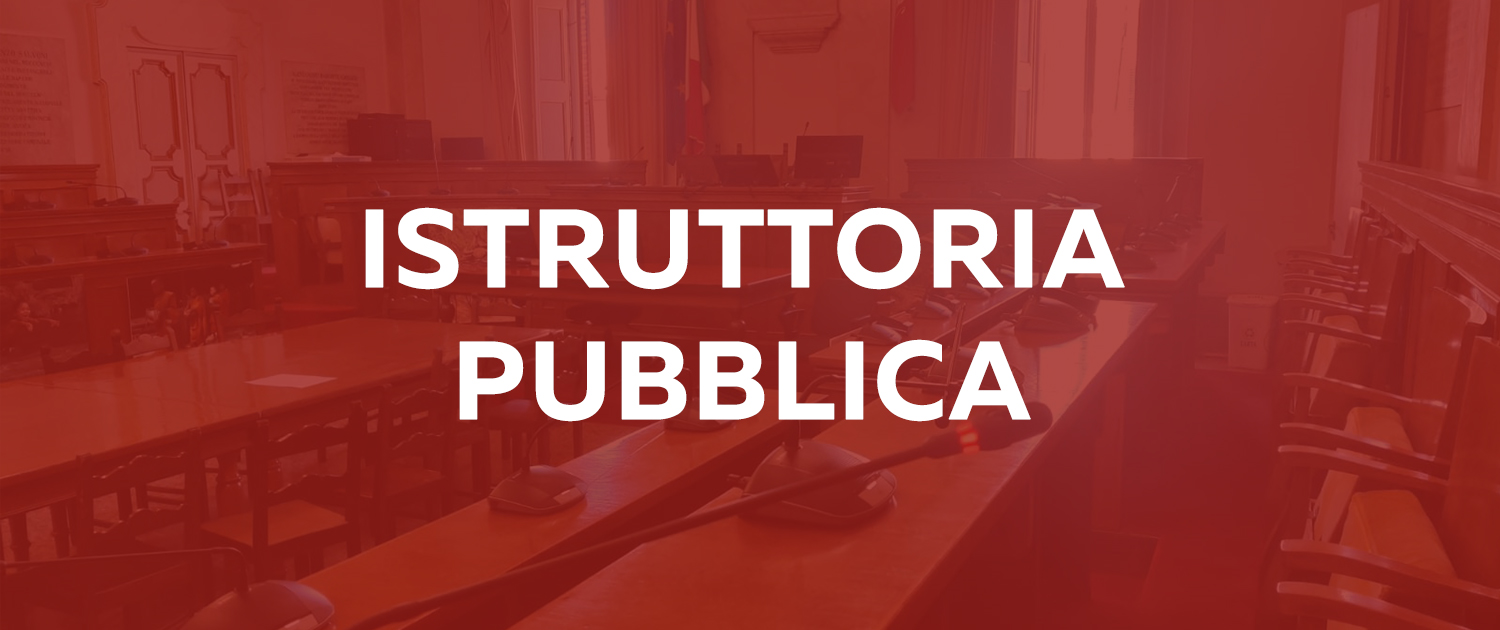 Istruttoria pubblica Istruttoria pubblica