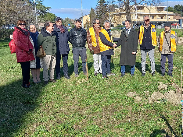 Donato dal Lions un bosco urbano con oltre 210 piante