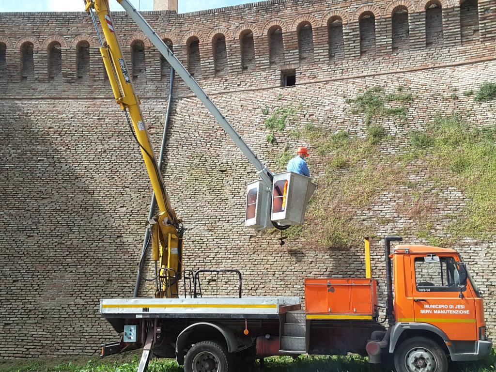 Nuovo intervento di pulizia delle mura cittadine