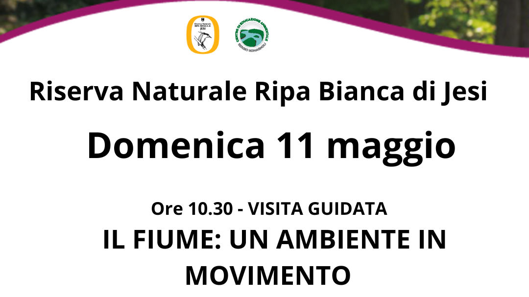 Locandina dell'evento