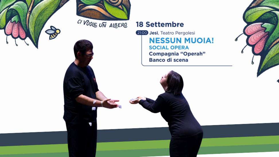 Social opera