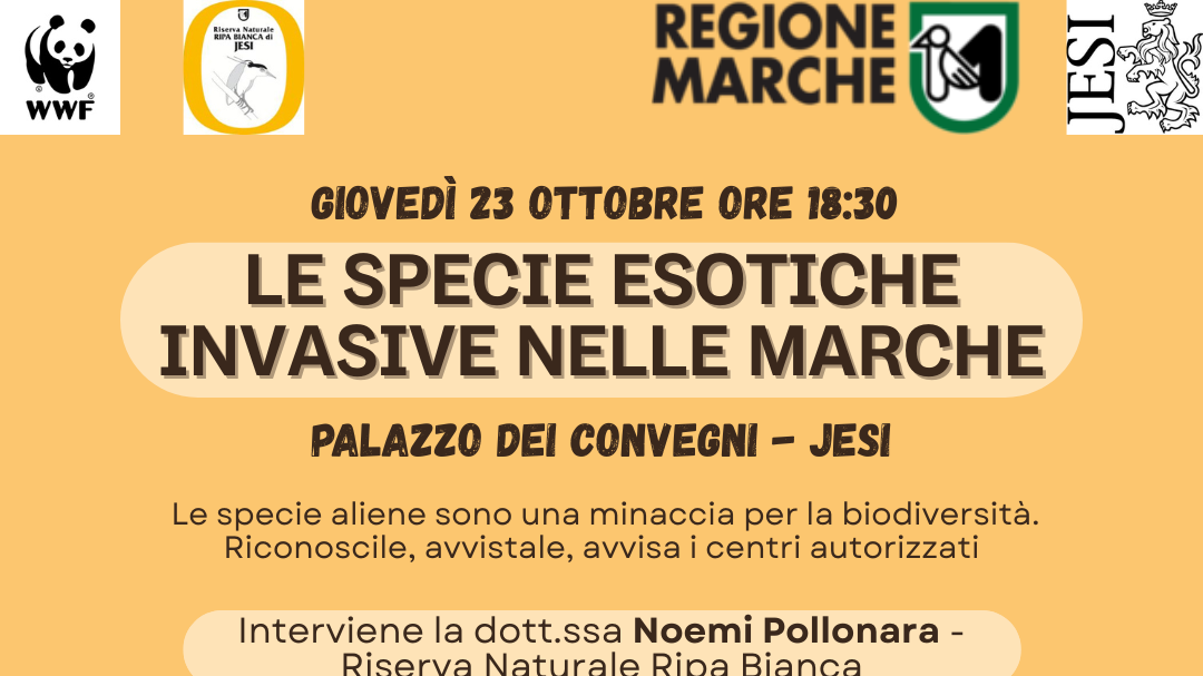 Locandina dell'evento