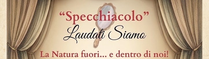 immagine evento