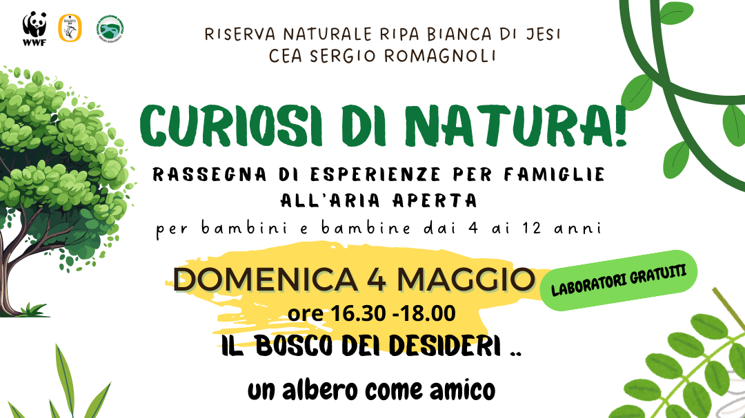 Locandina dell'evento Locandina dell'evento