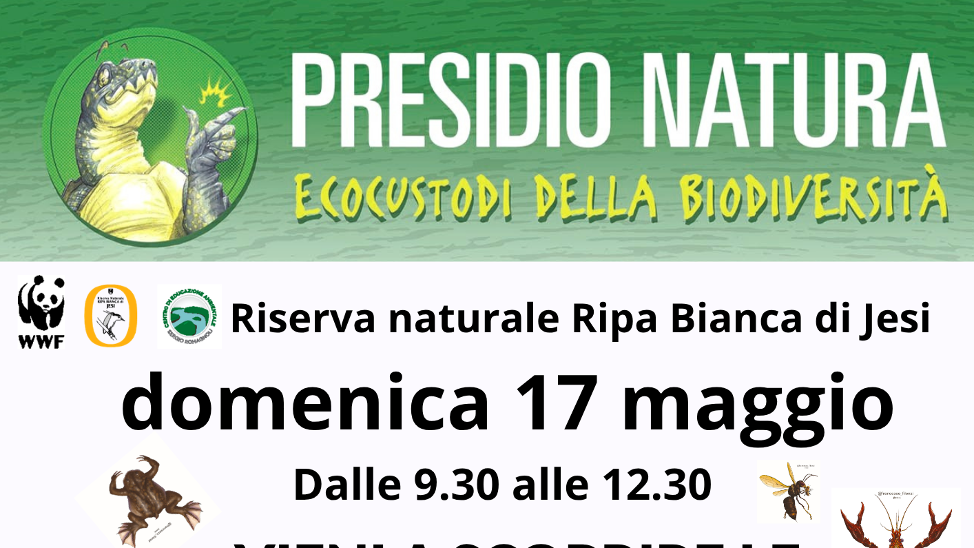 Locandina dell'evento