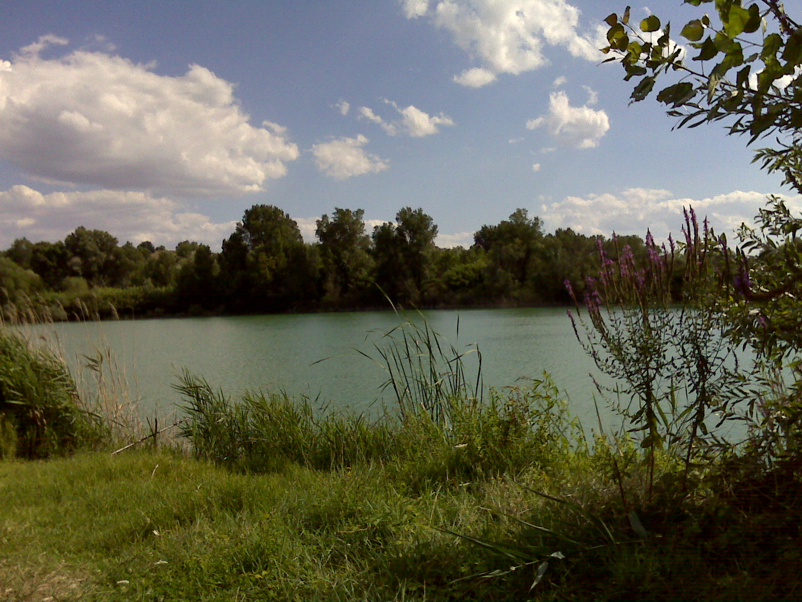 Panorama dalla sponda dell'Esino