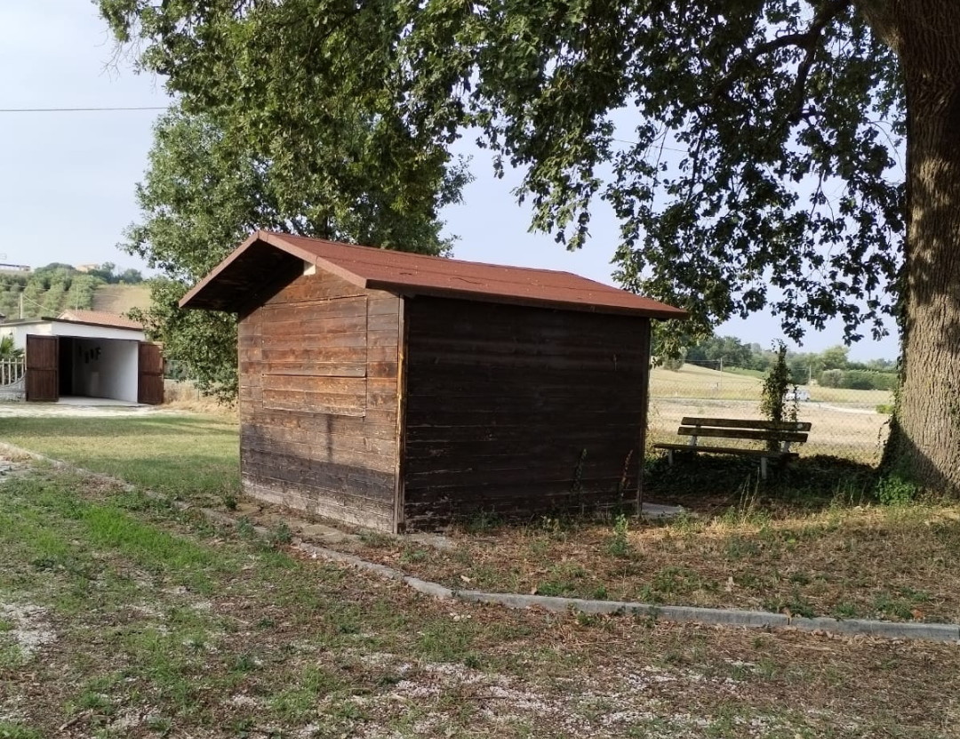 casetta in legno nel parco