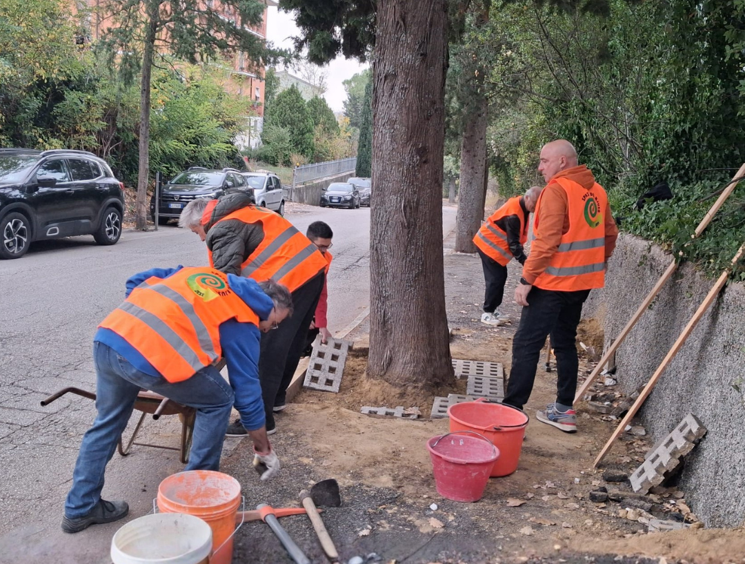 Squadra di uomini che riparano il marciapiedi vicino ad un albero