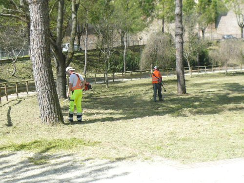Il taglio dell'erba in un parco cittadino