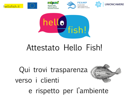 Attestato Hello Fish